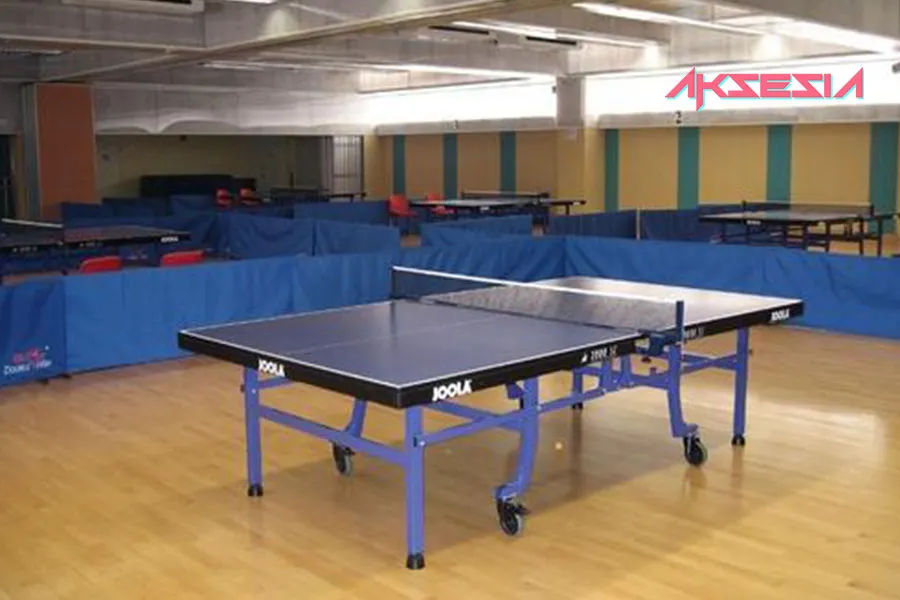 Contoh Gambar Lapangan Tenis Meja Atau PingPong